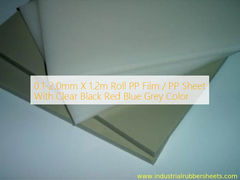 Film PP / Feuille PP en rouleau de 0,1-2,0 mm X 1,2 m avec couleur claire, noire, rouge, bleue, grise