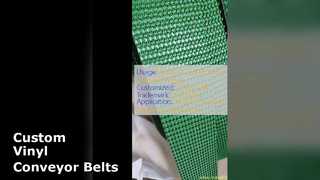 Solutions de bandes transporteuses en vinyle personnalisées